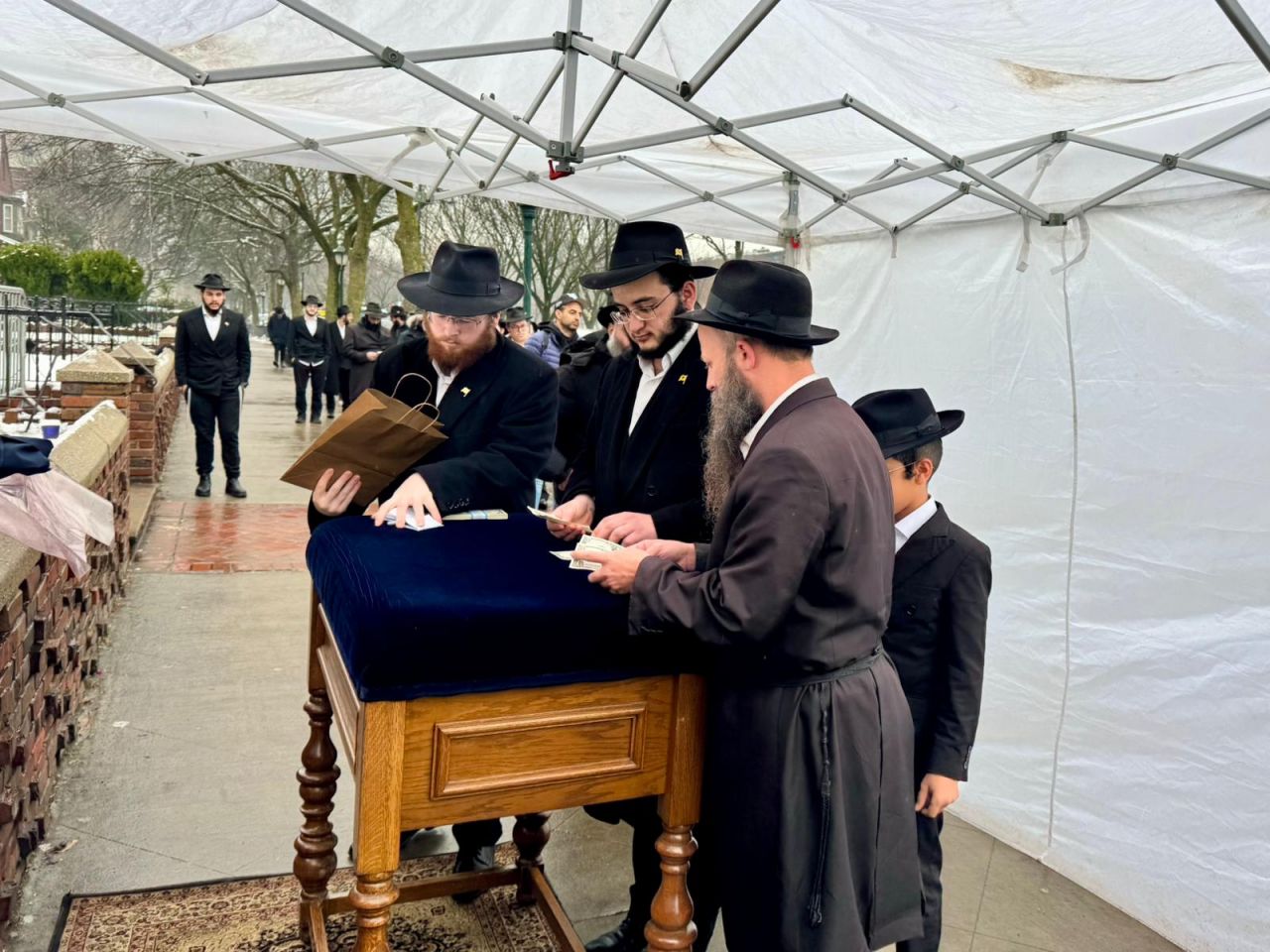 הגלריה השבועית מבית משיח: פרשת בא